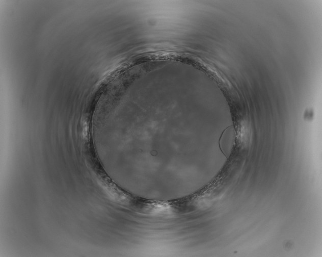 X0000090770715200708101810