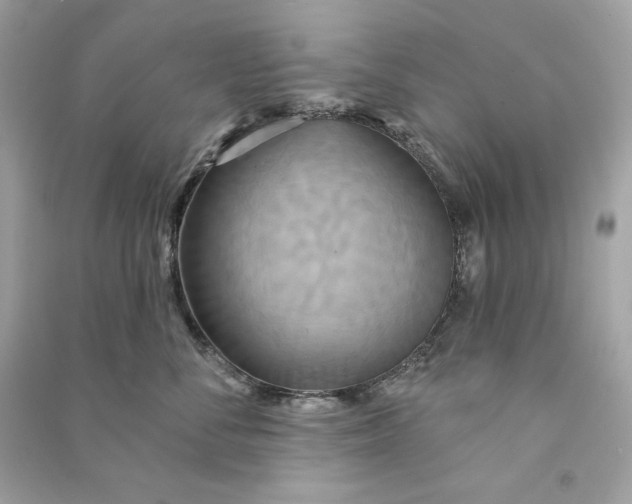 X0000090770716200708101810