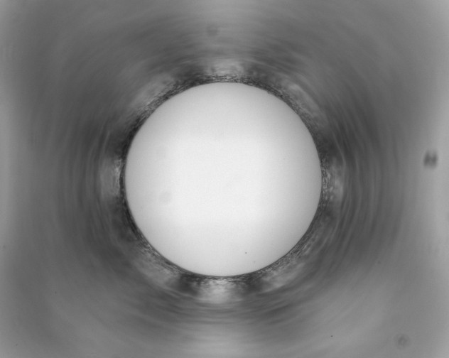 X0000090770717200708101810