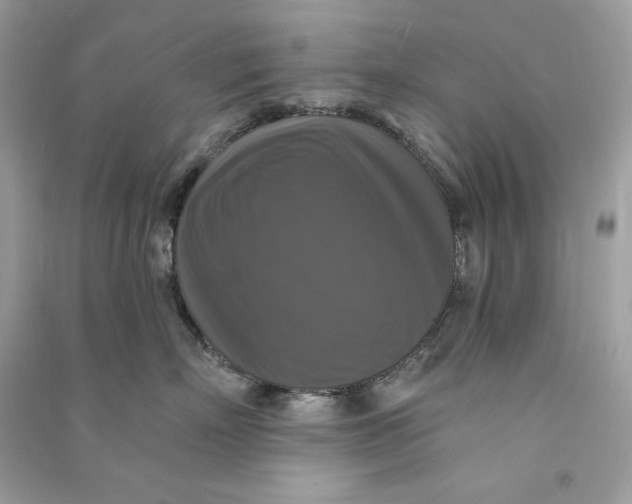 X0000090770718200708101810