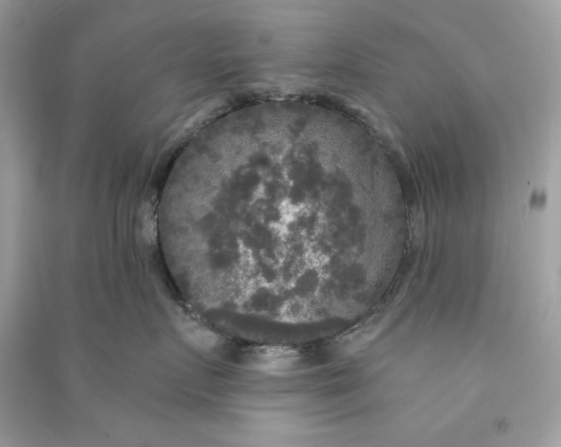 X0000090770719200708101810