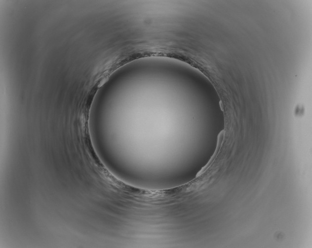 X0000090770720200708101810