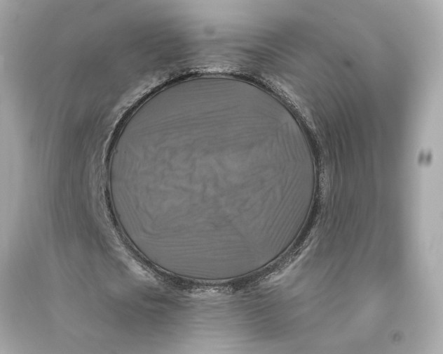 X0000090770721200708101809