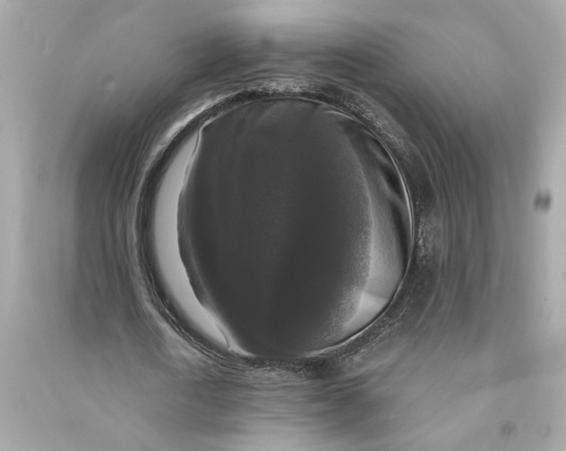 X0000090770722200708101809
