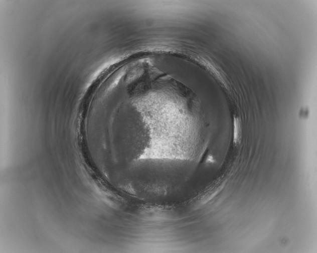 X0000090770723200708101809