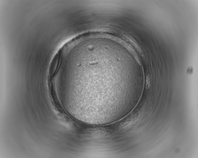 X0000090770724200708101809
