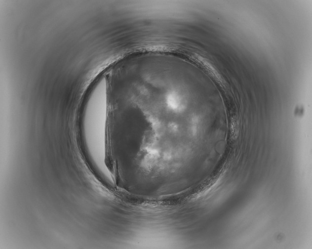 X0000090770725200708101809