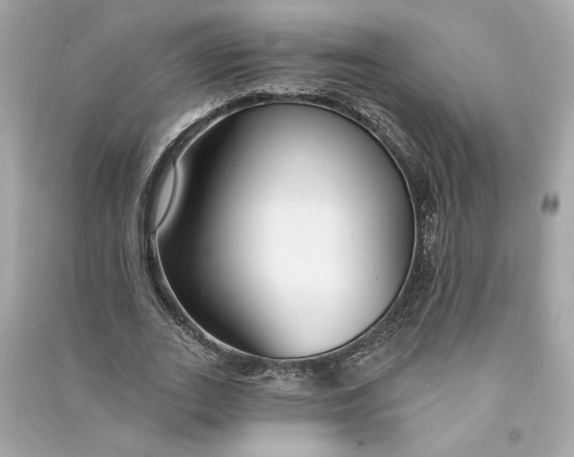 X0000090770727200708101809