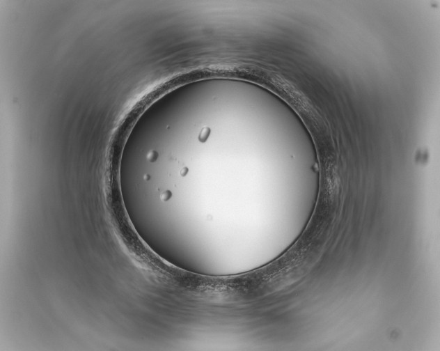 X0000090770728200708101809