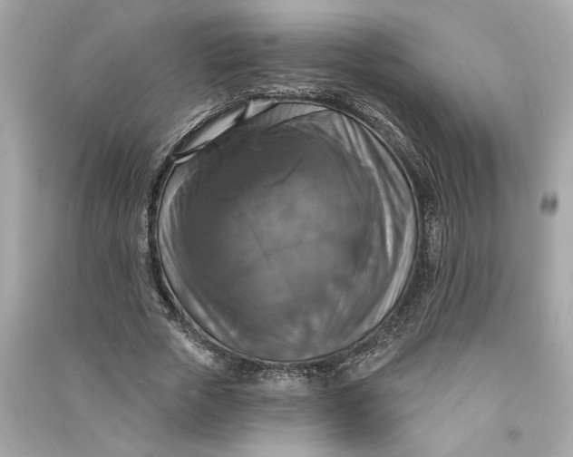 X0000090770729200708101809