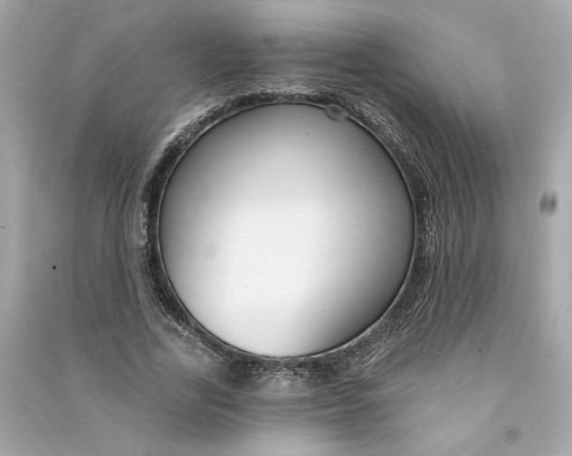 X0000090770731200708101809
