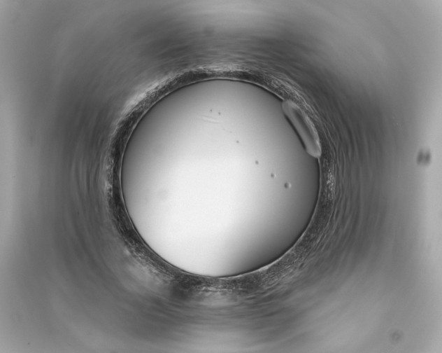 X0000090770732200708101809