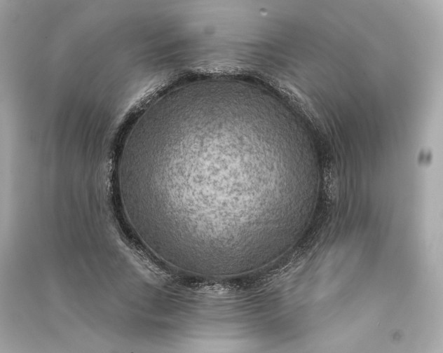 X0000090770735200708101809