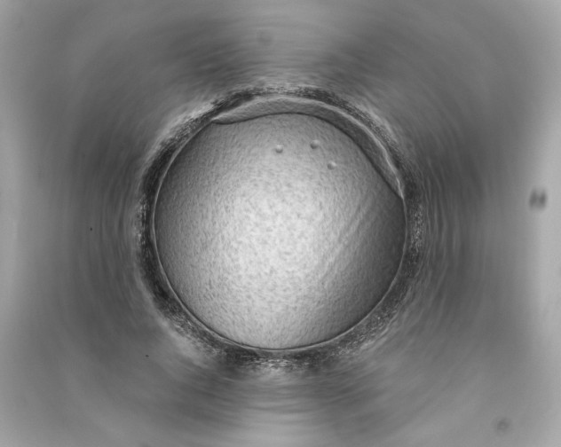 X0000090770736200708101809