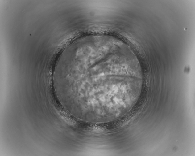 X0000090770737200708101809