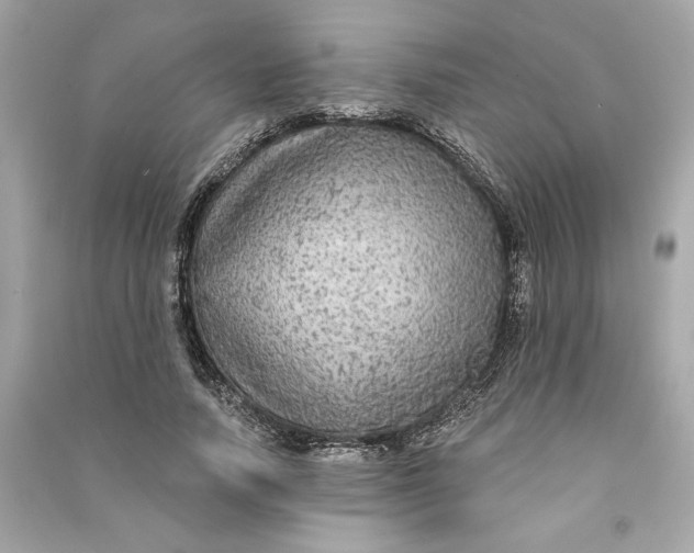 X0000090770738200708101809