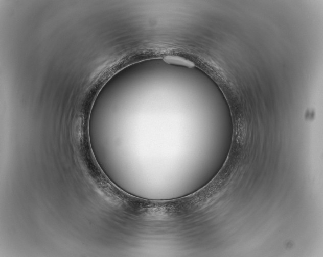 X0000090770740200708101809