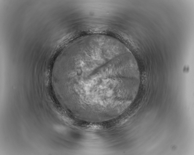 X0000090770741200708101809