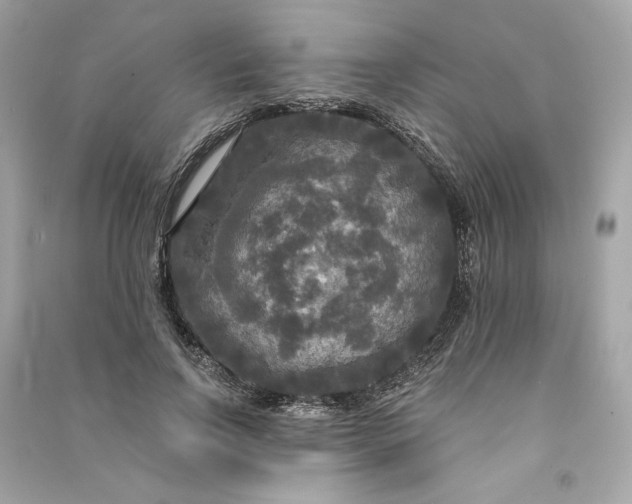 X0000090770742200708101809