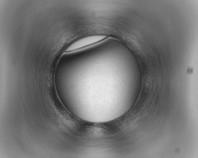 X0000090770743200708101809