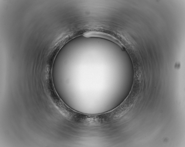 X0000090770744200708101809