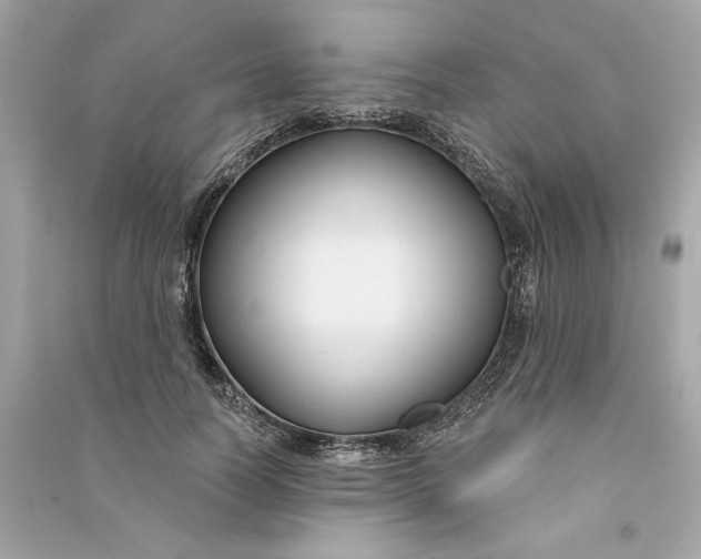 X0000090770746200708101809