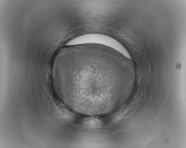 X0000090770747200708101809