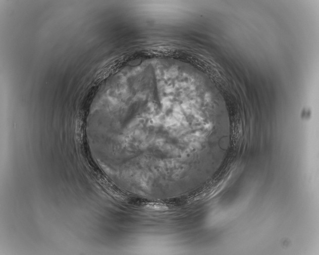 X0000090770749200708101809