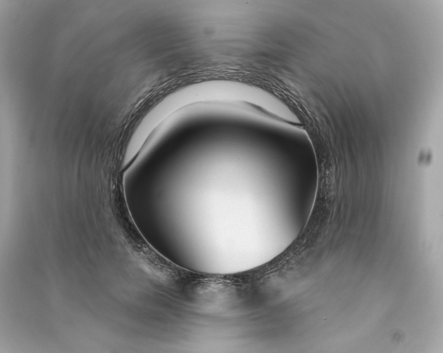 X0000090770750200708101809
