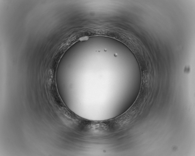 X0000090770752200708101810