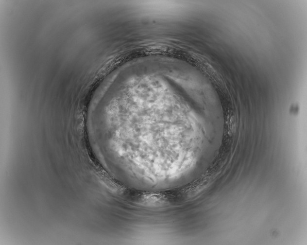 X0000090770753200708101810