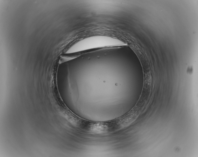 X0000090770754200708101810