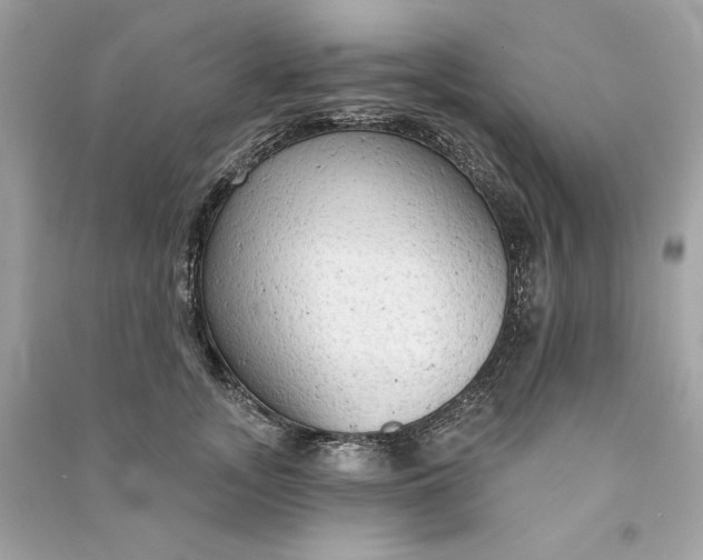X0000090770755200708101810