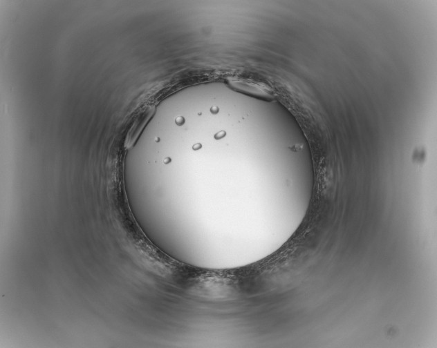 X0000090770756200708101810