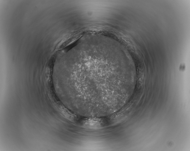 X0000090770758200708101810