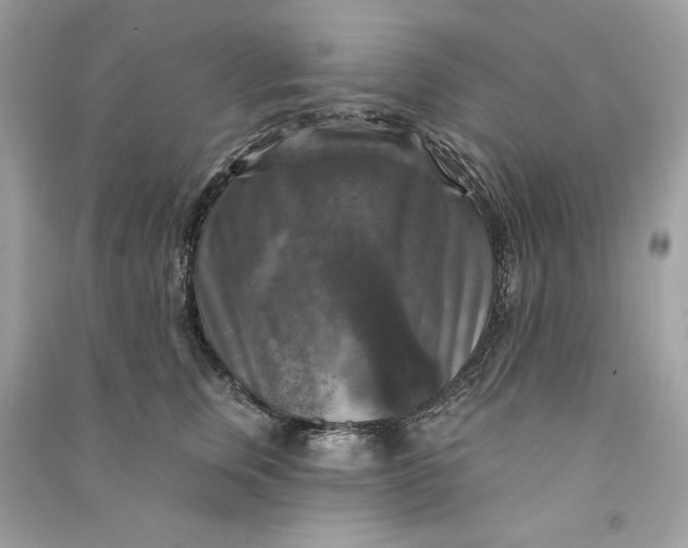 X0000090770759200708101810
