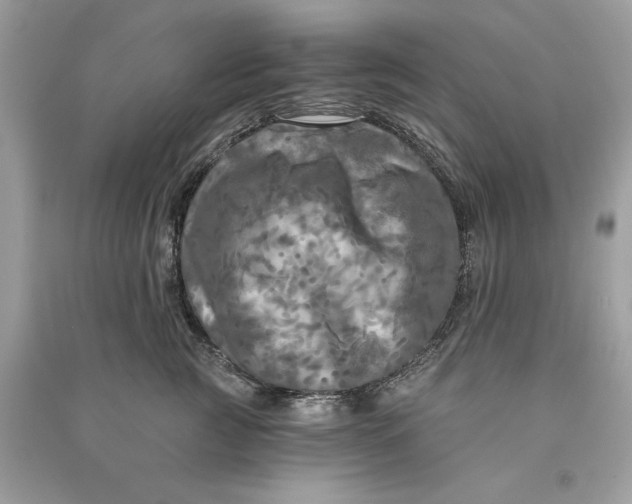 X0000090770761200708101810