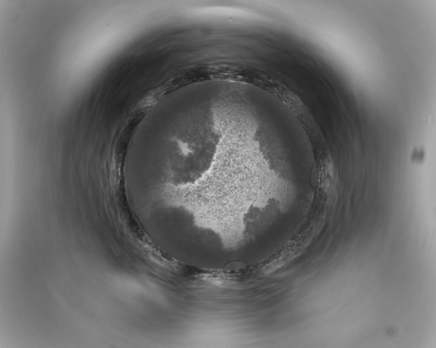X0000090770763200708101810