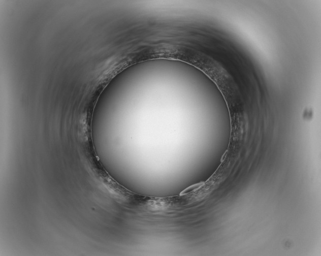 X0000090770764200708101810