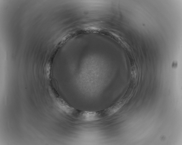 X0000090770767200708101810