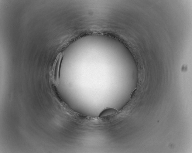 X0000090770768200708101810