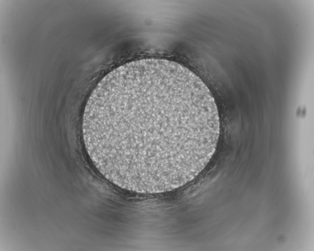 X0000090770769200708101809