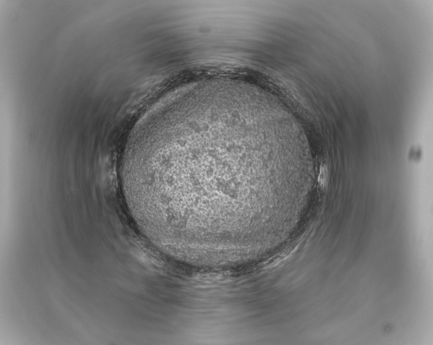 X0000090770771200708101809