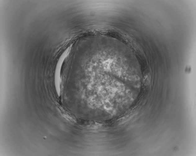 X0000090770772200708101809
