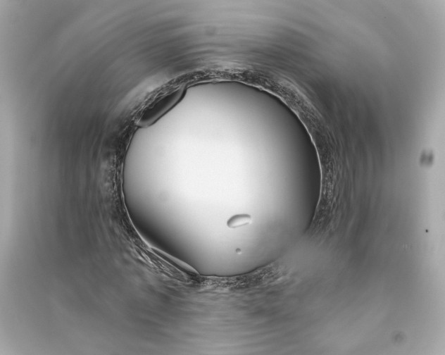 X0000090770773200708101809