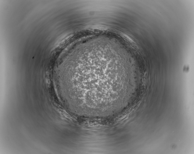 X0000090770774200708101809
