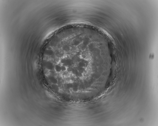 X0000090770775200708101809