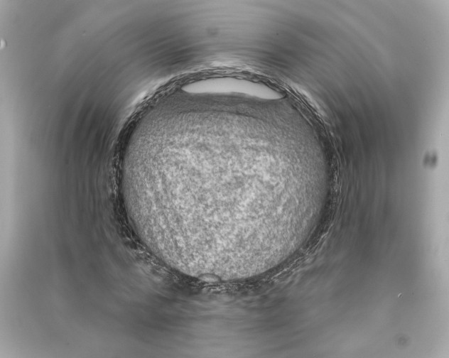 X0000090770776200708101809
