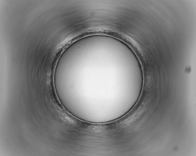 X0000090770778200708101809