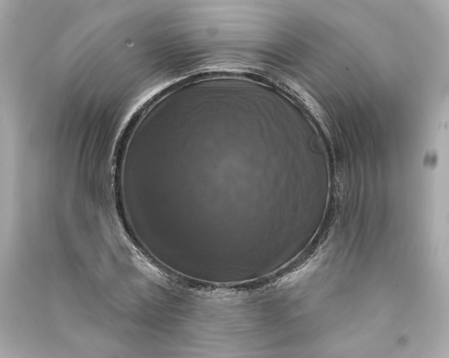 X0000090770779200708101809